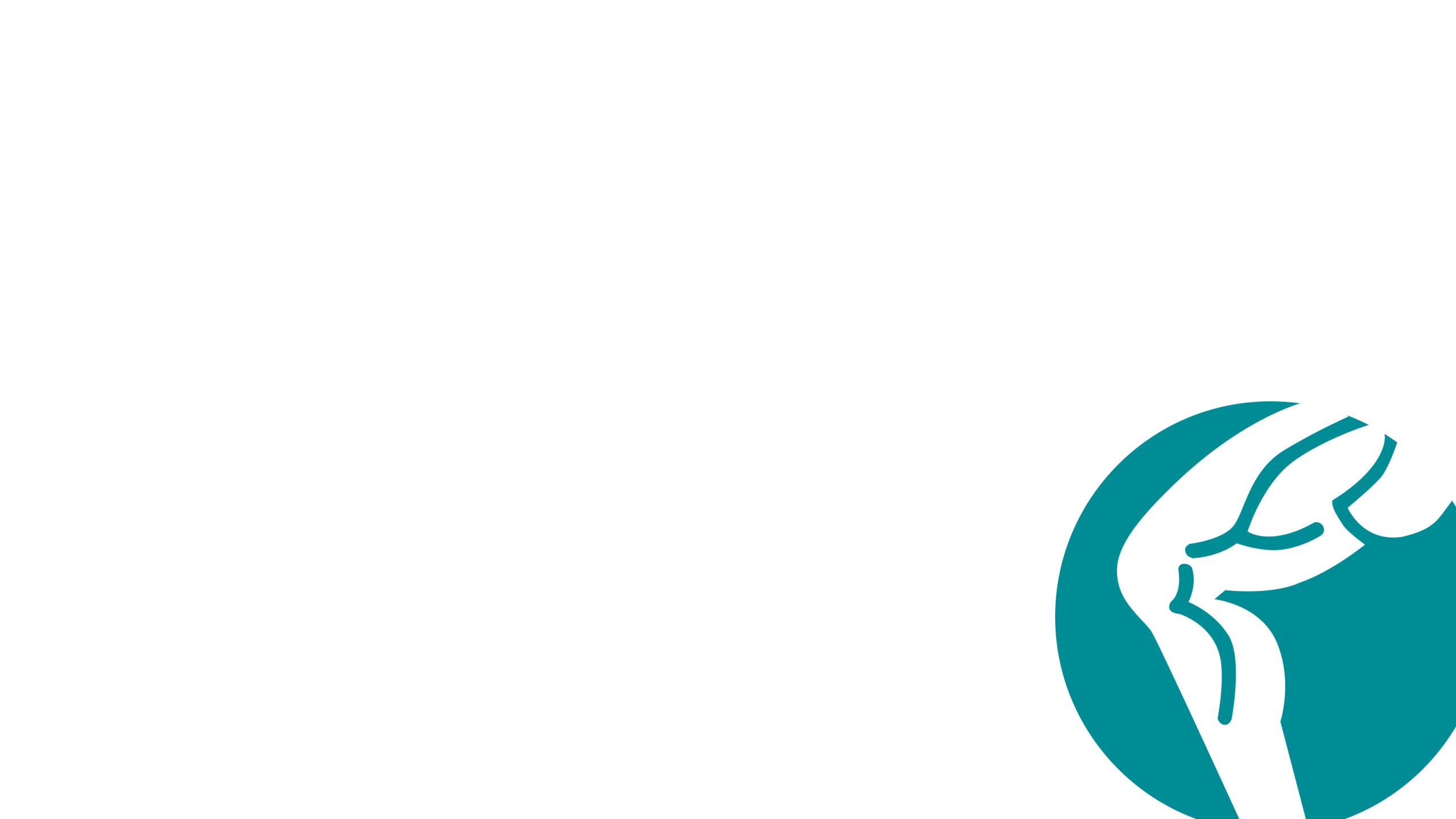 The Pilates Body Experts